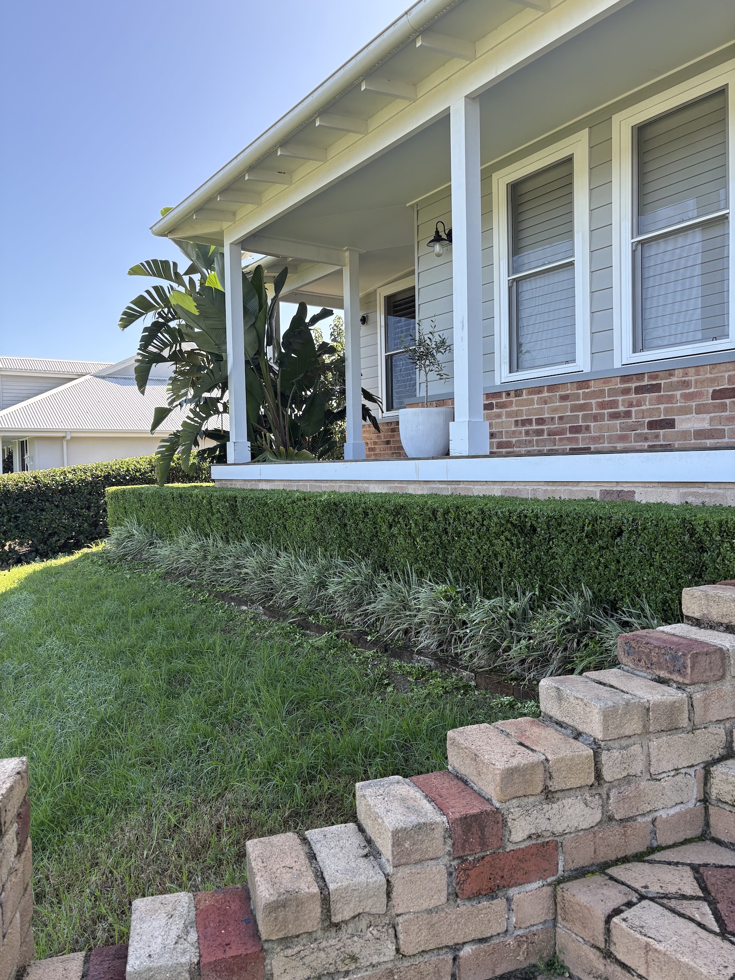 clean hedge on front of house