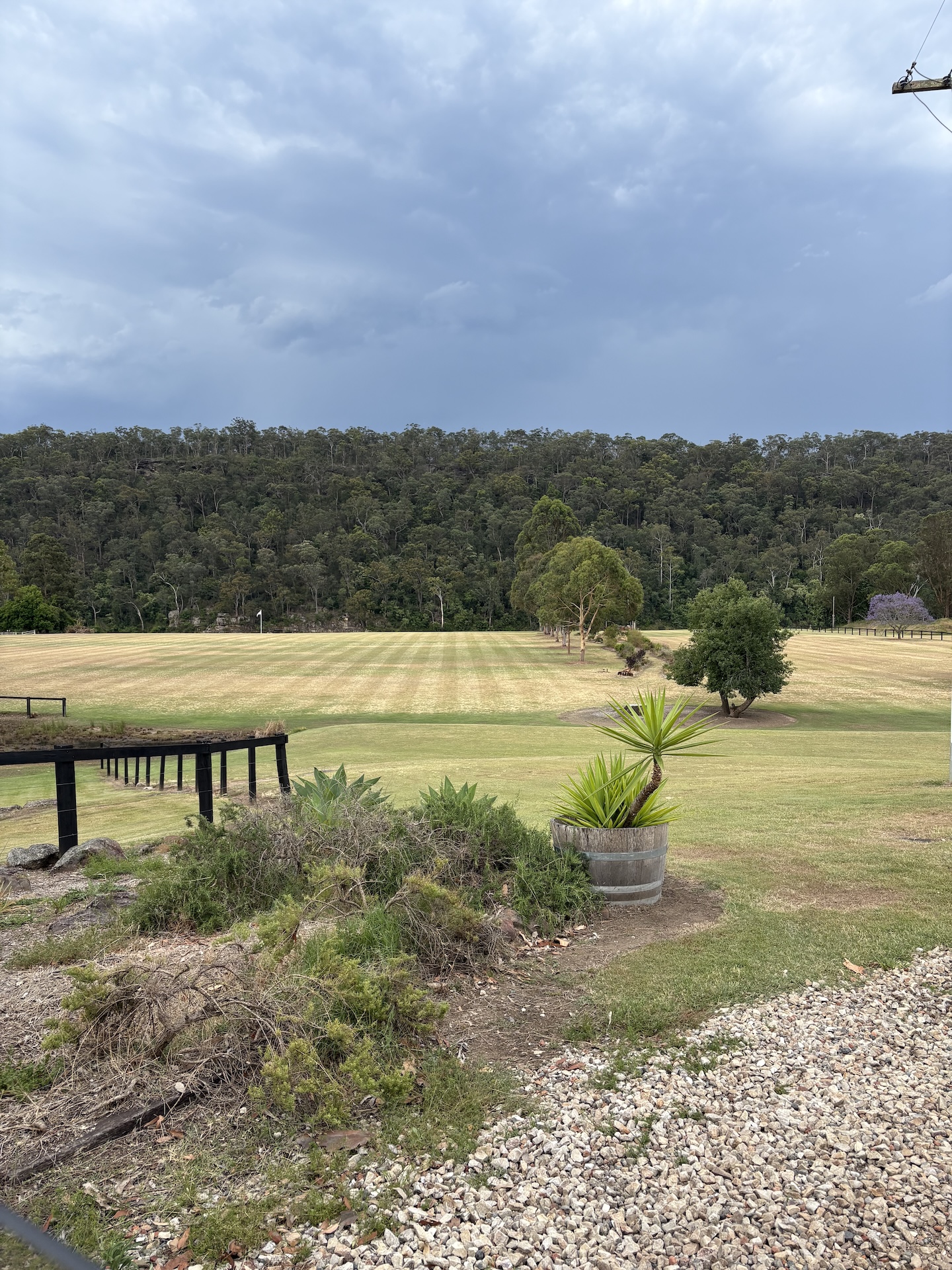 large freshly mowed acreage