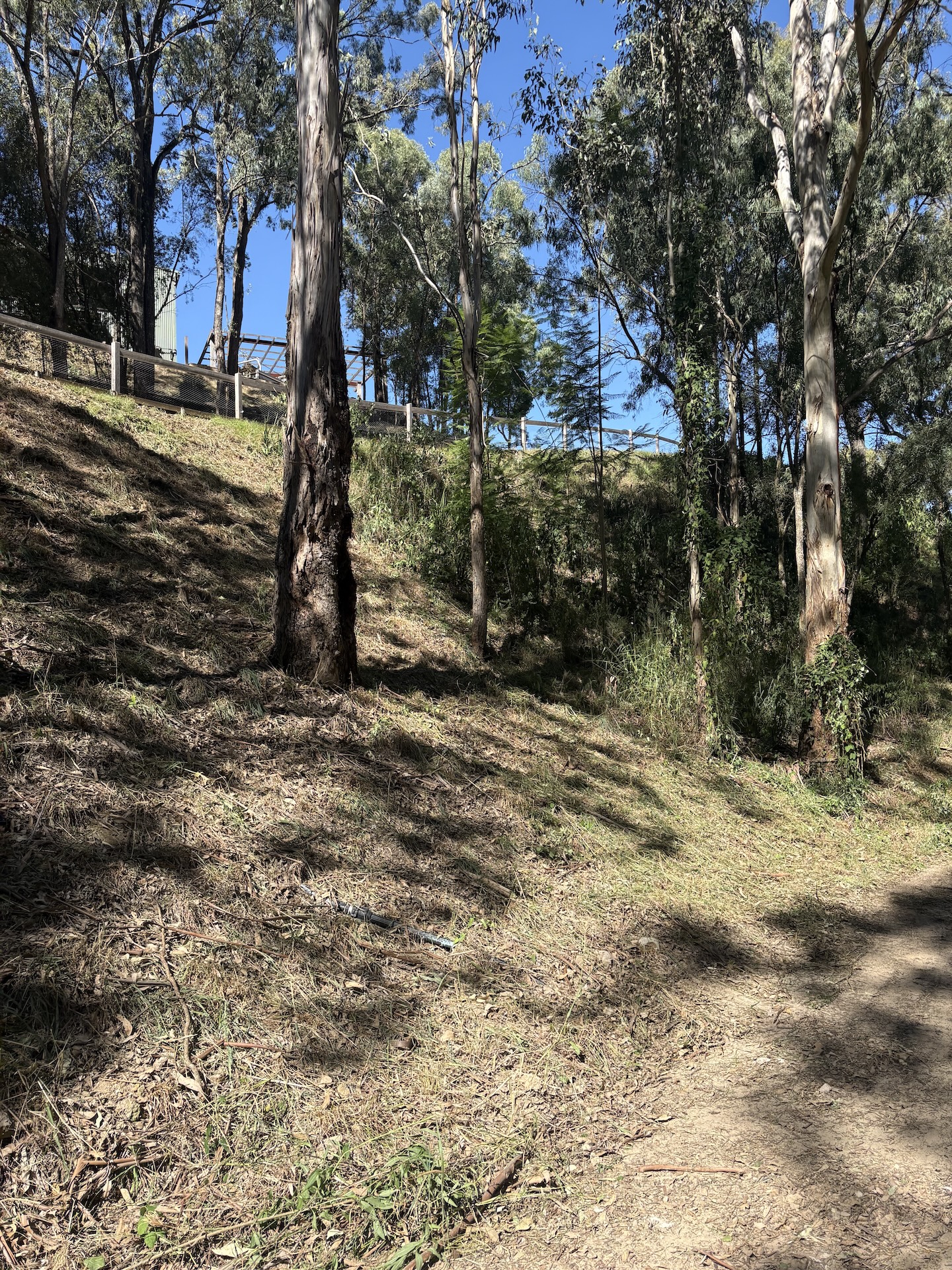 brush cut steep slope