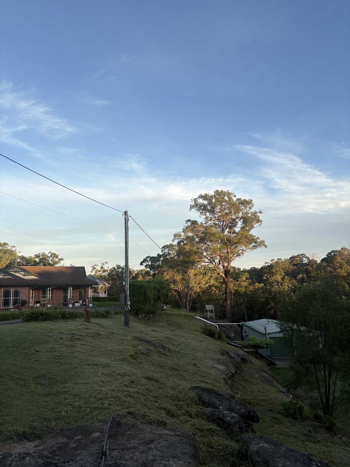freshly brush cut hill