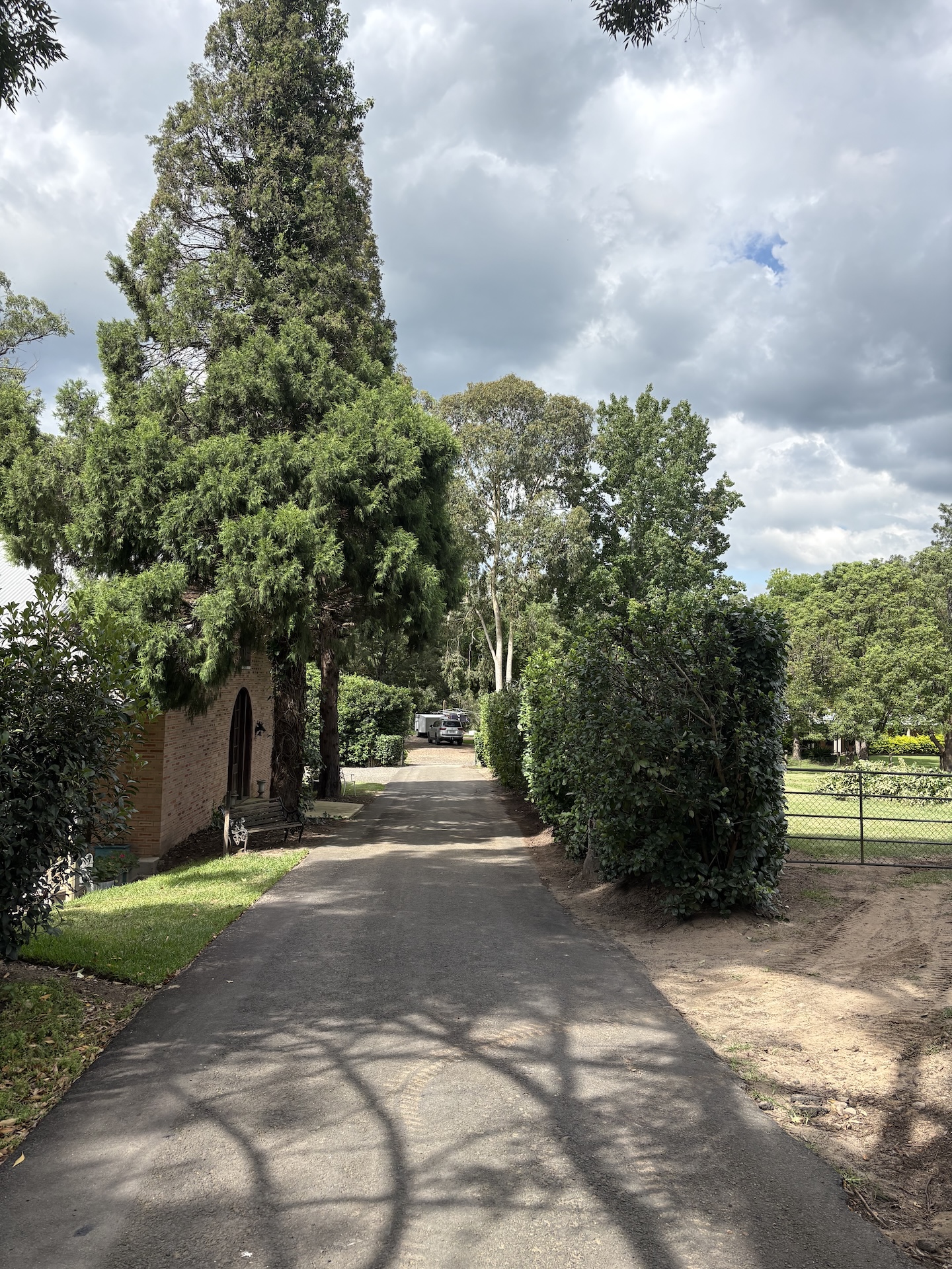 hedged driveway